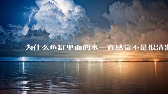 为什么鱼缸里面的水一直感觉不是很清澈呢？