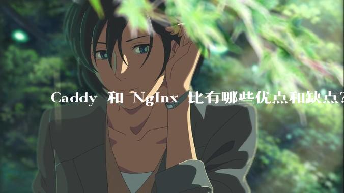 Caddy 和 Nginx 比有哪些优点和缺点？
