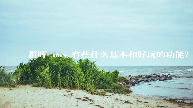群晖 nas 有些什么基本和好玩的功能？