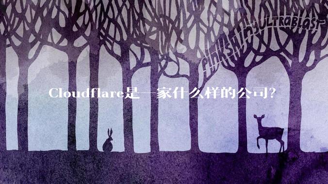 Cloudflare是一家什么样的公司？