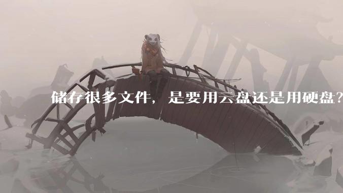 储存很多文件，是要用云盘还是用硬盘？