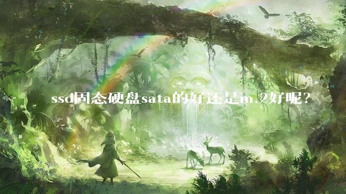 ssd固态硬盘sata的好还是m.2好呢？